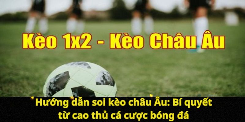 Hướng dẫn soi kèo châu Âu: Bí quyết từ cao thủ cá cược bóng đá